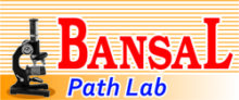 Bansal Pathology Lab